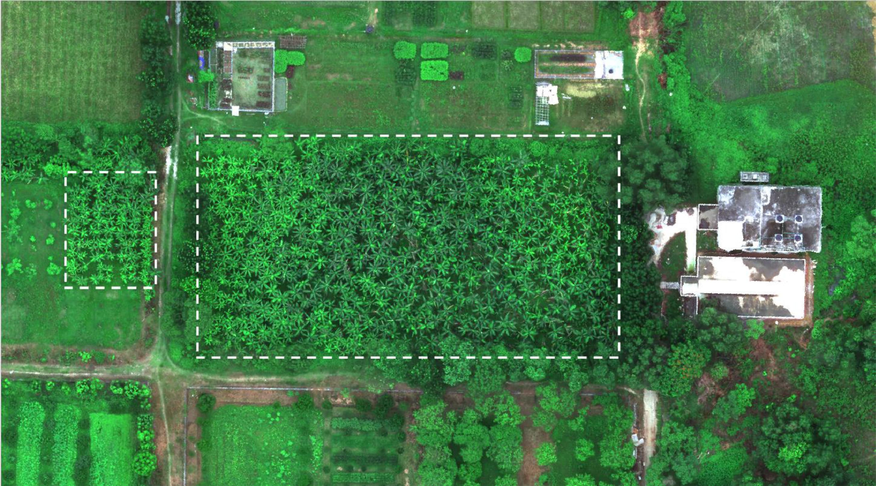 Visual representation of crop disease diagnosis